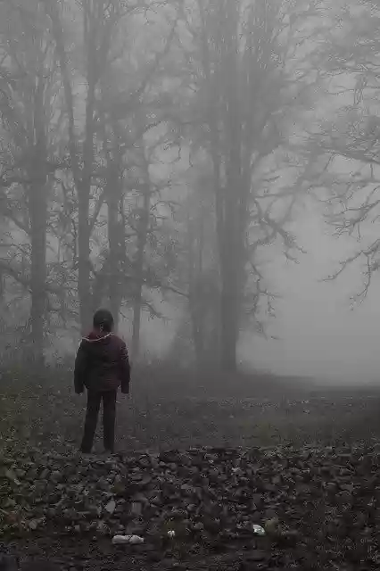 Free download Girl Fog Hill free photo template to be edited with GIMP online image editor