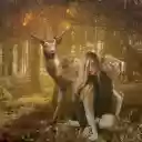 Girl lost in the forest  screen for extension Chrome web store in OffiDocs Chromium