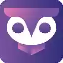 GitOwl Open Source Insights At a Glance  screen for extension Chrome web store in OffiDocs Chromium