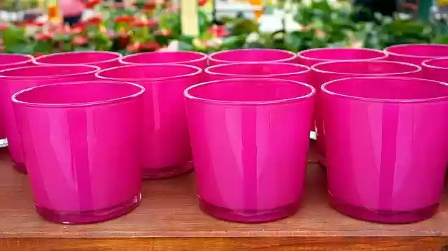 Free download Glasses Pink Deco -  free photo or picture to be edited with GIMP online image editor