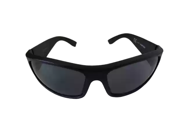 Free download Glasses Sunglasses Eye Protection -  free illustration to be edited with GIMP free online image editor