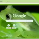Glass Frog  screen for extension Chrome web store in OffiDocs Chromium
