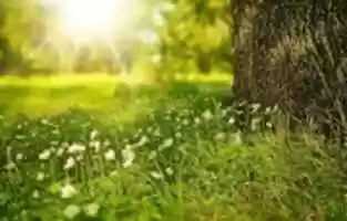 Free download Glitter Gifs free photo or picture to be edited with GIMP online image editor