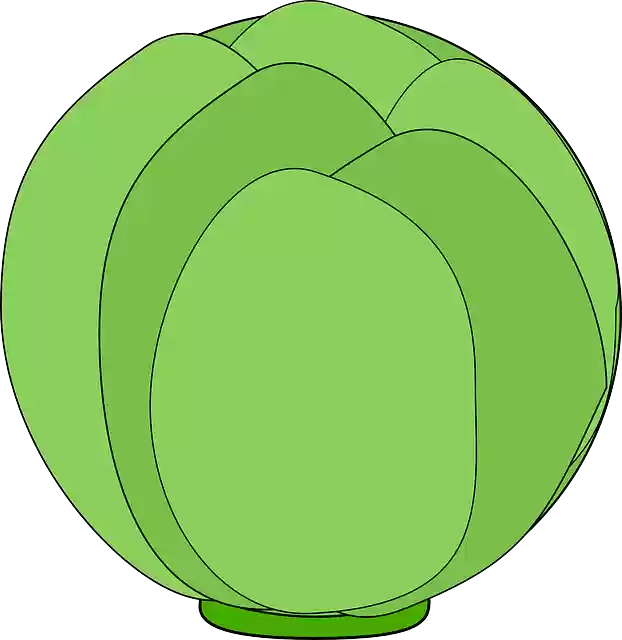 Free download Globe Artichoke Bud - Free vector graphic on Pixabay free illustration to be edited with GIMP free online image editor