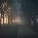 Gloomy road  screen for extension Chrome web store in OffiDocs Chromium