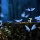 Glowing Blue Butterflies  screen for extension Chrome web store in OffiDocs Chromium