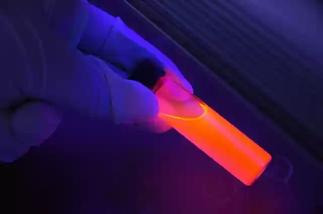 Free download glowing uv luminescent luminescence free picture to be edited with GIMP free online image editor