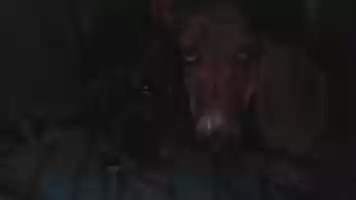 Free download G MARCUZZI ( 8) barcinadas free photo or picture to be edited with GIMP online image editor