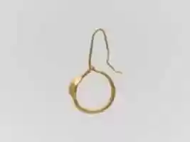 Free download Gold earring with convex disk free photo or picture to be edited with GIMP online image editor