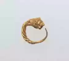 Free download Gold earring with head of a lion free photo or picture to be edited with GIMP online image editor