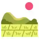 Golden Canola Field  screen for extension Chrome web store in OffiDocs Chromium