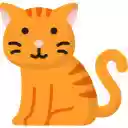 Golden Cat in the Sunlight  screen for extension Chrome web store in OffiDocs Chromium