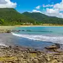 Golden forest and silver sea  screen for extension Chrome web store in OffiDocs Chromium