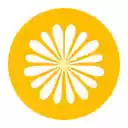 Golden Hour Browser Usage Insights  screen for extension Chrome web store in OffiDocs Chromium