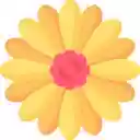 Golden Marigolds  screen for extension Chrome web store in OffiDocs Chromium