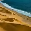 Golden sand beach on the sea  screen for extension Chrome web store in OffiDocs Chromium