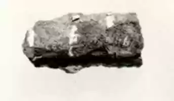 Free download Gold Foil on Wrist free photo or picture to be edited with GIMP online image editor