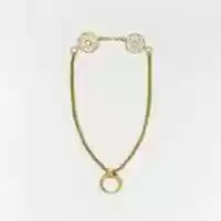Free download Gold necklace with crescent-shaped pendant free photo or picture to be edited with GIMP online image editor