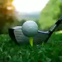Golf  screen for extension Chrome web store in OffiDocs Chromium