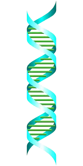Free download Gout Medical Biology - Free vector graphic on Pixabay free illustration to be edited with GIMP free online image editor