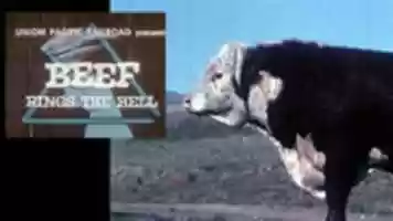 Free download GR 12161001 free photo or picture to be edited with GIMP online image editor