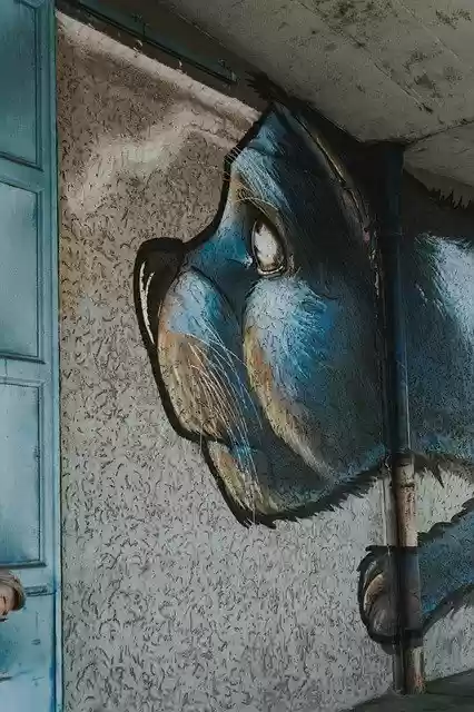 Free download Graffiti Art Cat -  free photo or picture to be edited with GIMP online image editor