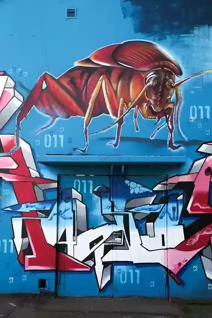 Free download Graffiti Subculture Spray -  free photo or picture to be edited with GIMP online image editor