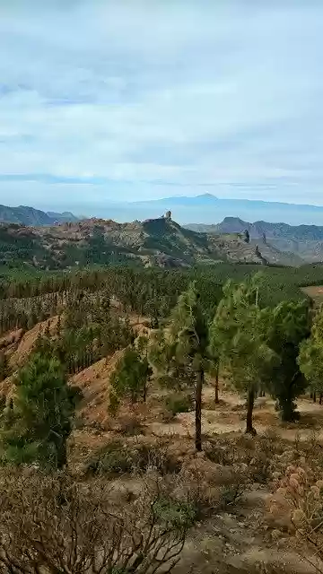 Free download Gran Canaria Spain Sea -  free photo or picture to be edited with GIMP online image editor