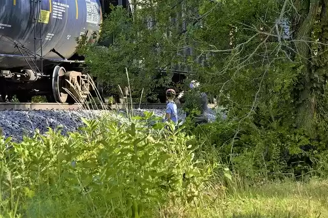 Free download Grandpa Grandson Watching -  free free photo or picture to be edited with GIMP online image editor