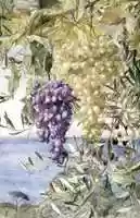 Free download Grapes and Olives free photo or picture to be edited with GIMP online image editor