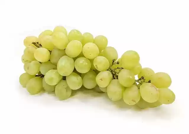 Free download Grapes Cotton Candy -  free photo or picture to be edited with GIMP online image editor