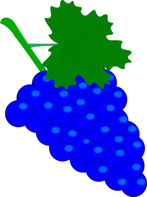 Free download Grape Vintage Wine - Free vector graphic on Pixabay free illustration to be edited with GIMP free online image editor