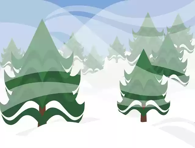 Free download Graphic Winter ForestFree vector graphic on Pixabay free illustration to be edited with GIMP online image editor