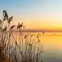 Grass and Sunset  screen for extension Chrome web store in OffiDocs Chromium