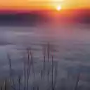 Grasses Facing Fogs during Golden Hours  screen for extension Chrome web store in OffiDocs Chromium