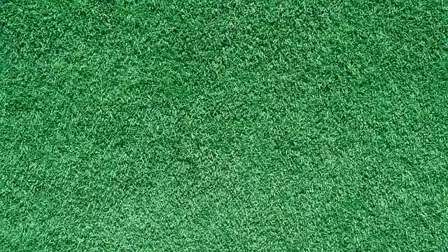 Free download grass ground background green grass free picture to be edited with GIMP free online image editor