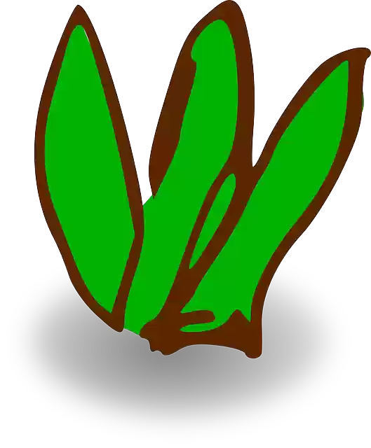 Free download Grass Spring Summer - Free vector graphic on Pixabay free illustration to be edited with GIMP free online image editor