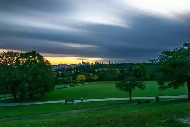 Free download Grass Tree Sunset -  free photo or picture to be edited with GIMP online image editor