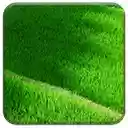 Grassy Terraces  screen for extension Chrome web store in OffiDocs Chromium