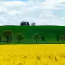 green and yellow  screen for extension Chrome web store in OffiDocs Chromium