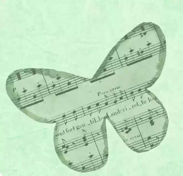 Free download Green Background Butterfly -  free illustration to be edited with GIMP free online image editor