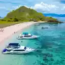 Green beach  screen for extension Chrome web store in OffiDocs Chromium