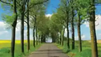 Free download greencaranimation72once free photo or picture to be edited with GIMP online image editor