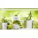 green christmas  screen for extension Chrome web store in OffiDocs Chromium