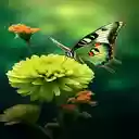 Green chrysanthemum and butterfly wallpaper  screen for extension Chrome web store in OffiDocs Chromium
