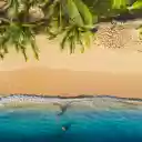 Green Coconut and the Sea  screen for extension Chrome web store in OffiDocs Chromium