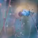 Green feather clinging to the grass  screen for extension Chrome web store in OffiDocs Chromium