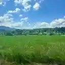 green hill meadow  screen for extension Chrome web store in OffiDocs Chromium