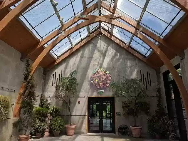 Free download Greenhouse Plants Skylight -  free photo or picture to be edited with GIMP online image editor