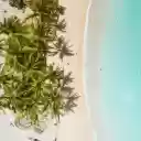 Green Leaves on Blue Round Plate  screen for extension Chrome web store in OffiDocs Chromium